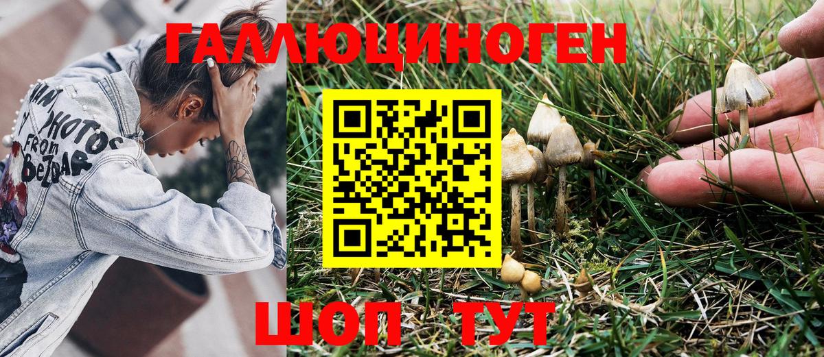 Галлюциногенные грибы Cubensis Сокол
